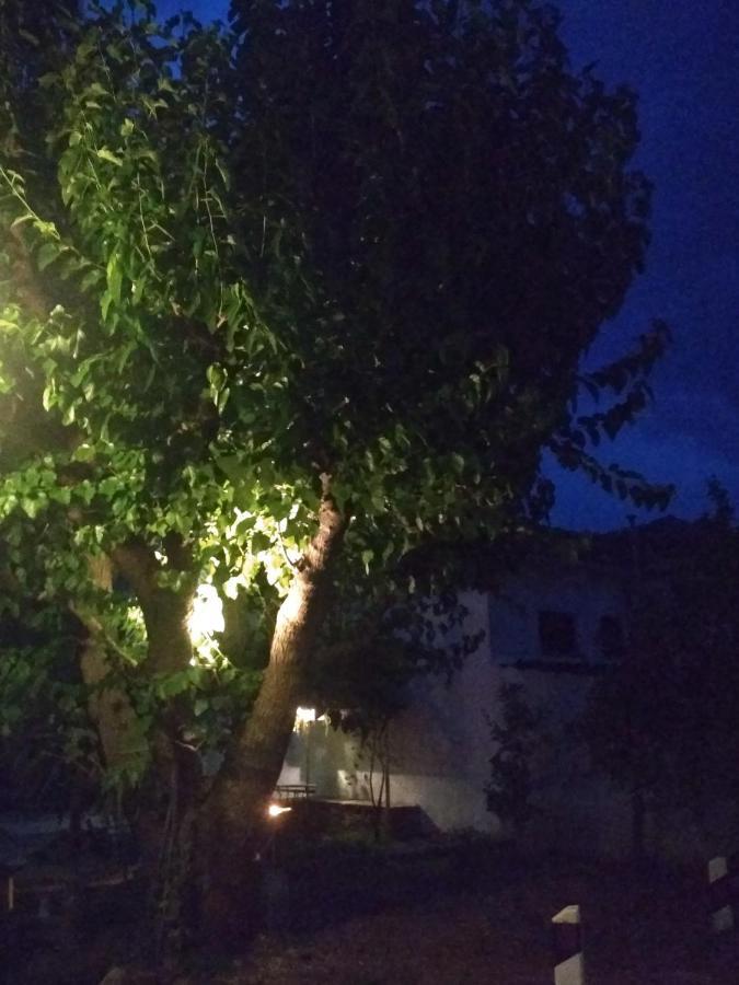 Kalama Apartments Kálamosz Kültér fotó